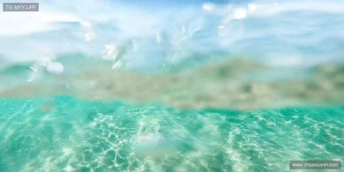 💻 高清直播,把赛场搬进你的屏幕!